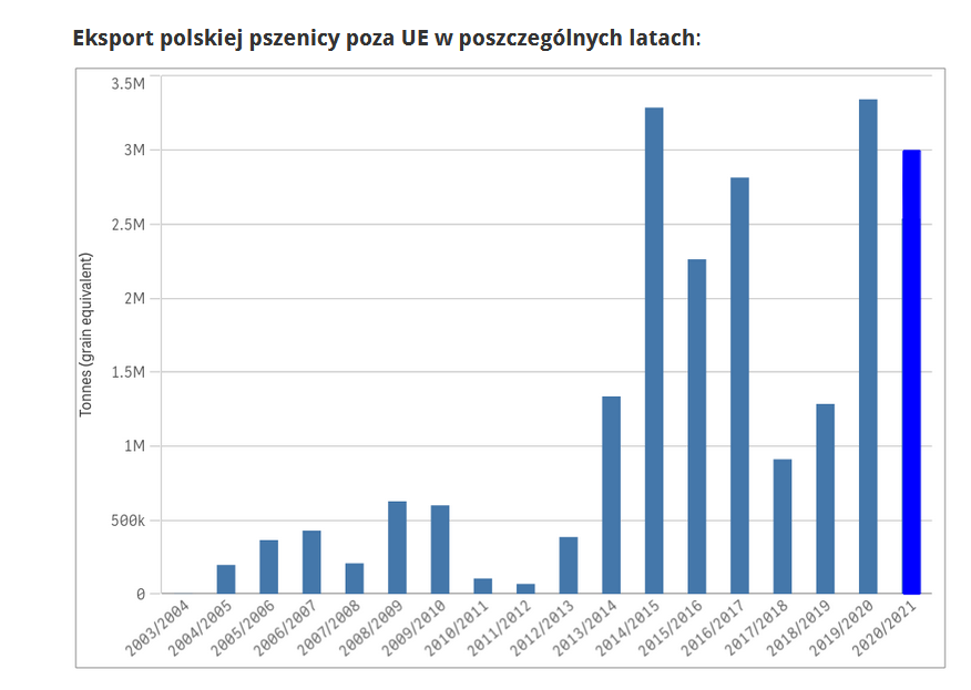 Polski eksport pszenicy poza UE zwolnił 