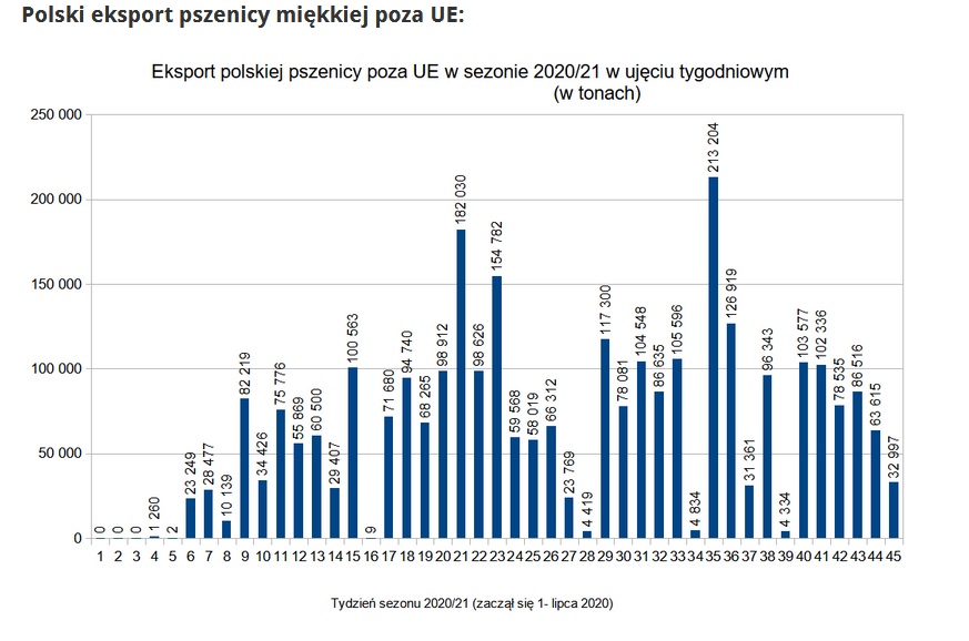 Polski eksport zbóż poza UE przekroczył w tym sezonie 3,2 mln ton 