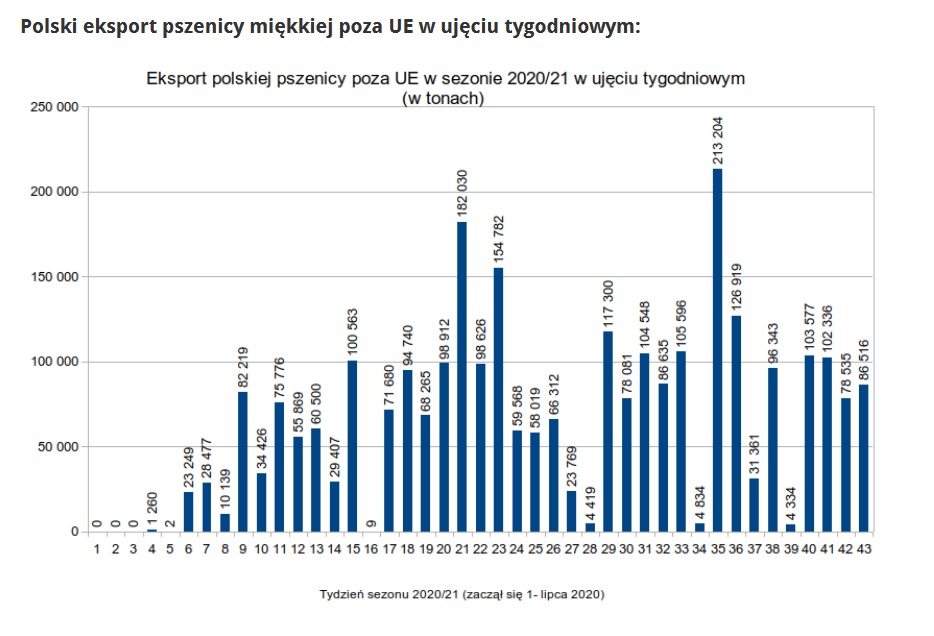 Polska awansowała na 4 miejsce w rankingu eksporterów unijnych zbóż