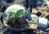Rząd wyznaczył nowy kurs dla energii i klimatu. OZE, atom i miliardy dla polskich firm
