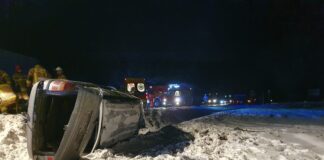 Zderzenie Opla z ciężarówką. W bagażniku dwa cielaki
