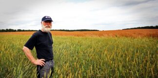 Rolnicy zaskoczeni wysokością emerytur z KRUS
