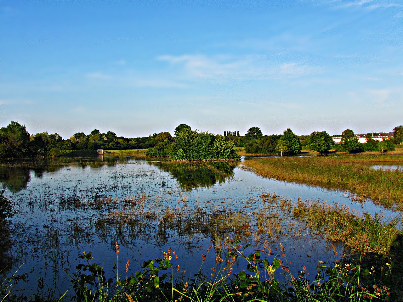 Podsumowanie ostatnich wydarzeń w rolnictwie i agrobiznesie (07.11.- 10.11.2022)