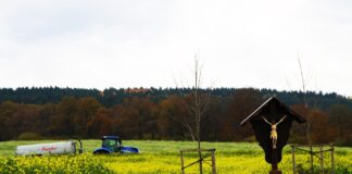 Konsultacje publiczne polityki promocyjnej Unii Europejskiej