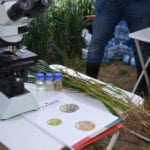 Z małej firmy na czołowego dostawcę chemii rolnej