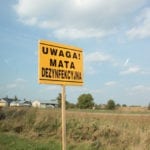 W zwalczanie ASF muszą się włączyć rolnicy