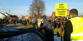 ASF. Trwa likwidacja ponad ośmiu tysięcy świń na Podlasiu