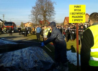 Producenci świń: dać podwyżki weterynarzom zamiast budować płot na granicy
