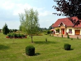 Co dalej z programem „Czyste Powietrze”. Czy dotacje będą wypłacone?