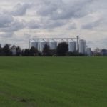 Elewarr będzie skupował rośliny paszowe na dużą skalę?