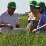 Fusilade i Pyrinex zmieniają właściciela. Nufarm przejmuje ponad 50 produktów Syngenty i Adamy