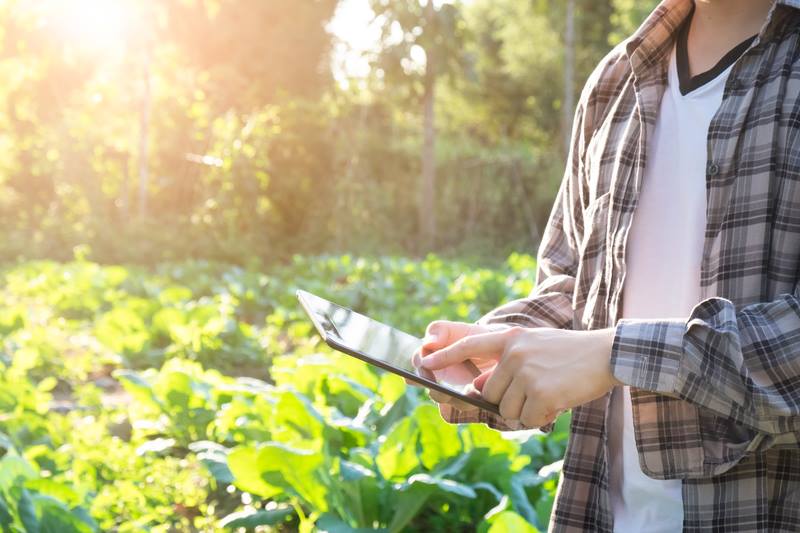 rolnik, rolnictwo, portal rolny, 365 FarmNet, Vitalfields, drony, aplikacje mobilne dla rolników, nowoczesne rozwiązania na wsi, programy polowe
