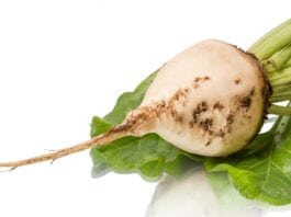 Cukier tanieje, presja rośnie. Plantatorzy buraków muszą zmienić strategię