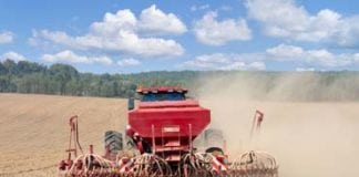 Uprawa współrzędna: większe zyski z rolnictwa
