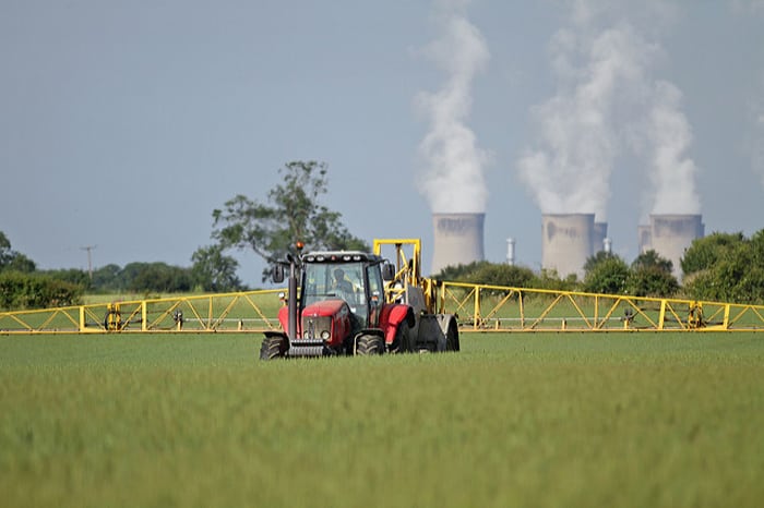 chlorotalonil, komisja europejska, fungicyd, wycofanie substancji aktywnych