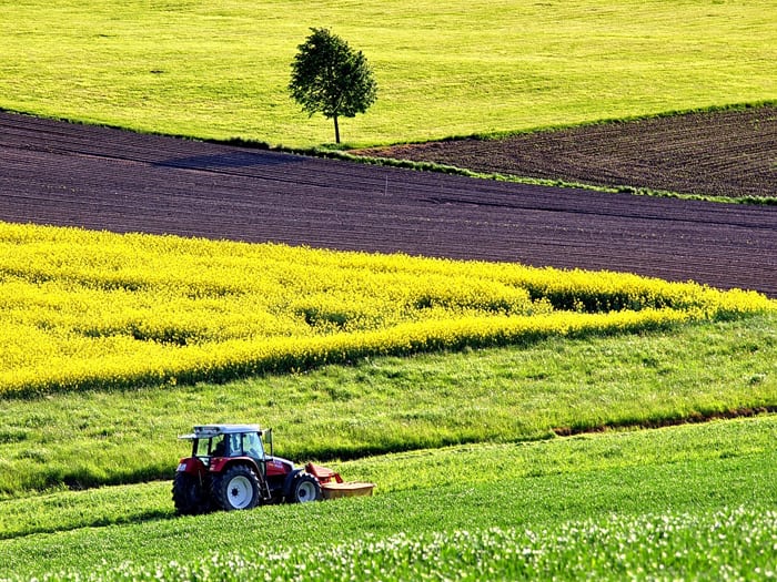 Prowadzenie upraw w systemie Integrowanej Produkcji Roślin trzeba zgłosić!