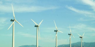GUS: wzrasta pozyskanie energii ze źródeł odnawialnych