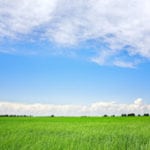 Sianokiszonka – od uprawy po zbiór