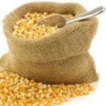 Pasze dla zwierząt nie będą wolne od GMO