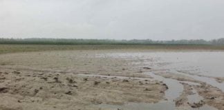 Zniszczone uprawy, zalane budynki. Rząd pomoże poszkodowanym rolnikom