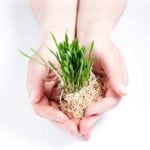 Biostymulatory. Z myślą o przyszłych pokoleniach