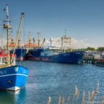 Fundusze Europejskie dla Rybactwa – aktualny harmonogram naborów