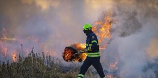 Znaleziono zwłoki kobiety. Tragiczny finał wypalania traw
