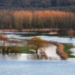 Ponad 44 mln zł rekompensat na kontach rolników z terenów popowodziowych