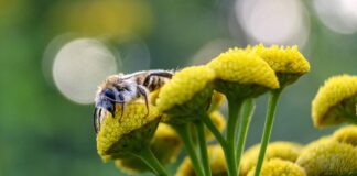 Podsumowanie ostatnich wydarzeń w rolnictwie i agrobiznesie (30.05.-03.06.2022)