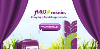 foliQ z nową stroną i odświeżonymi etykietami! Marka stawia na rozwój i czytelność