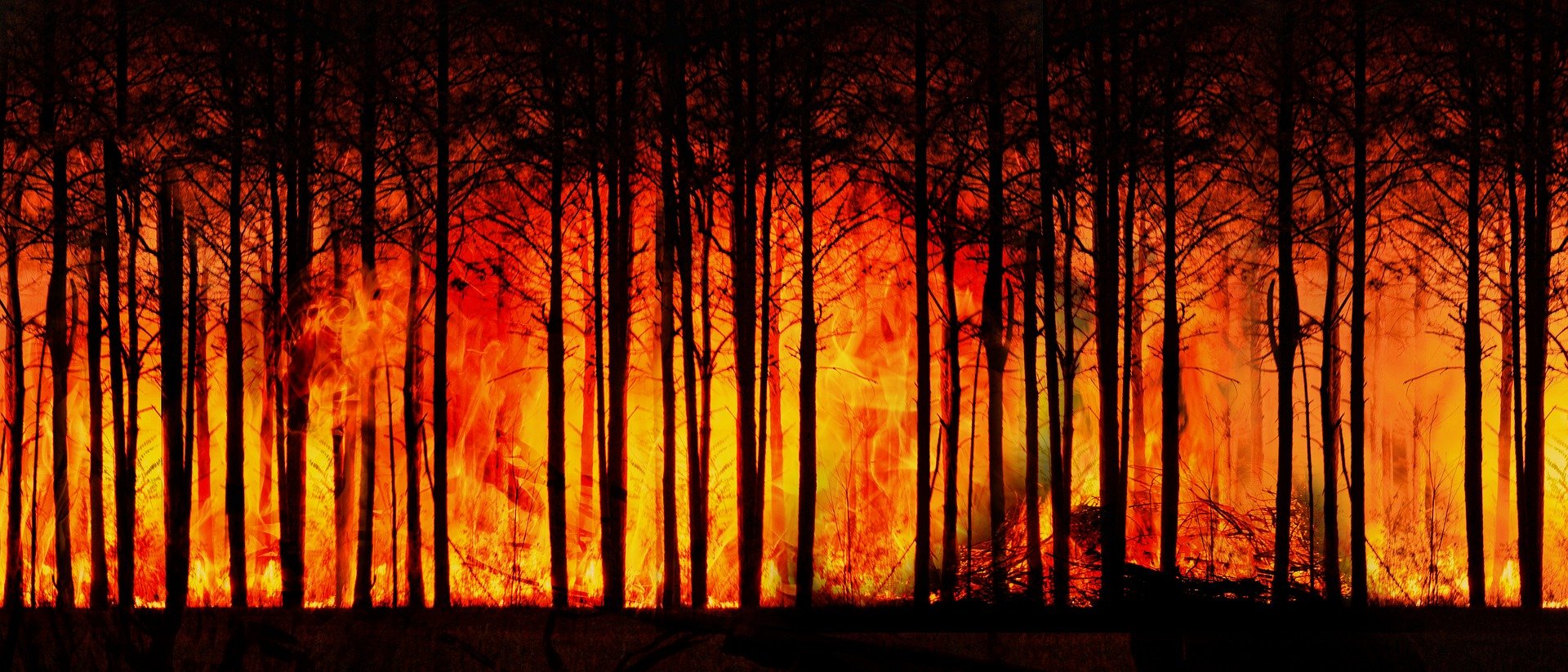 Czerwony alarm dla ludzkości, Raport IPCC o zmianach klimatycznych