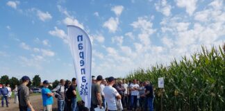 I edycja Pokazów Mistrzów Pola już za nami!