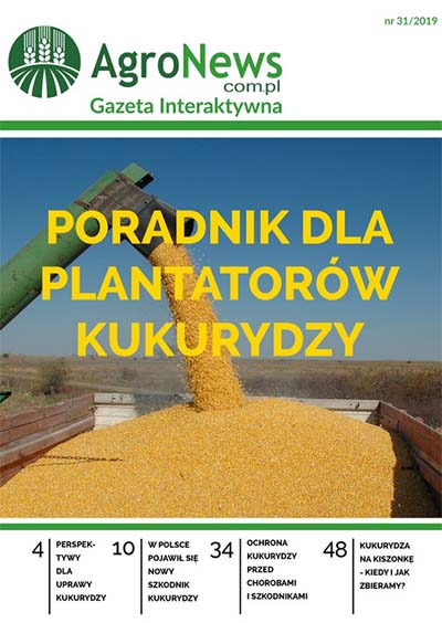  http://gazeta31.agronews.com.pl/