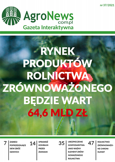 Gazeta Interaktywna 36