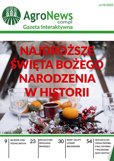 Gazeta Interaktywna 45
