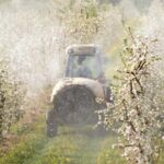 Nowy obowiązek dla rolników. Celem – lepsza kontrola nad chemicznymi zabiegami