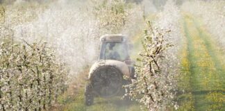 Nowy obowiązek dla rolników. Celem – lepsza kontrola nad chemicznymi zabiegami