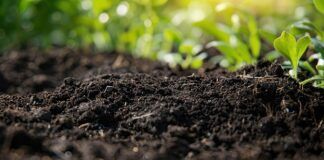 Gleby rolnicze w UE: walka o ochronę węgla organicznego i klimatu