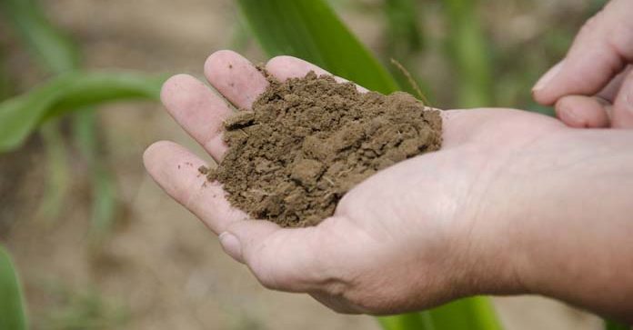 odpady, gleba, struktura gleby