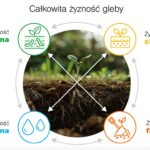Żyzność gleby – element skutecznej strategii rolniczej