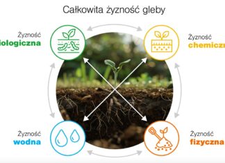 Żyzność gleby – element skutecznej strategii rolniczej