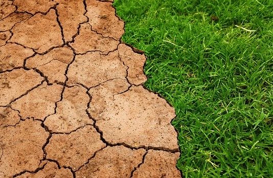 Polska na granicy stresu wodnego. Braki wody przestają być incydentem