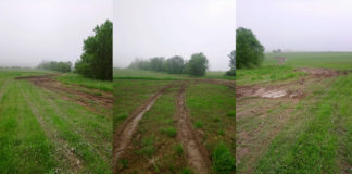 Kolejny off-road po polach! Ogromne straty rolników