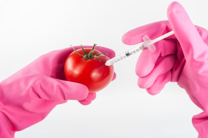 GMO, unijna dyrektywa o GMO, Komisja Europejska, 