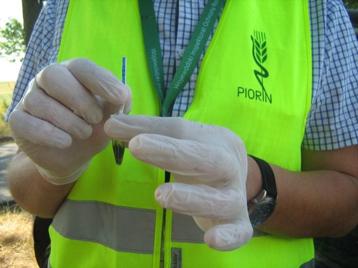 GMO WIORiN Bydgoszcz, rolnik, rolnictwo, PIORiN, GMO, kukurydza, kukurydza MON 810 