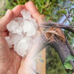 Kończy się termin składania wniosków o pomoc dla rolników. Trzeba się spieszyć