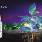 NewJon Zn – niezawodna technologia cieczy jonowych