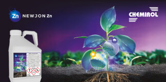 NewJon Zn – niezawodna technologia cieczy jonowych