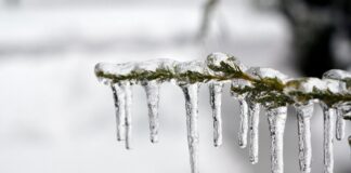 Zima nie wytrzyma długo. Prognozy pokazują nagłe ocieplenie