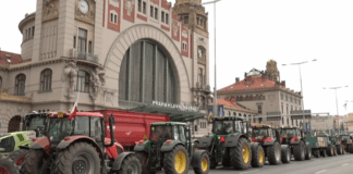 Czechy: Organizacje prorosyjskie przejęły protest rolników